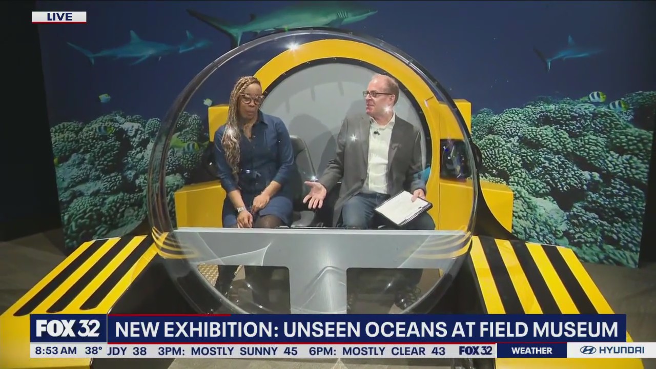 Take a deep dive underwater at the Field Museum's newest exhibit.