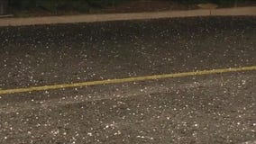 Hail, rain and strong winds throttle Chicago's south suburbs