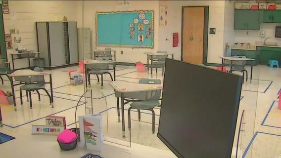 Referendums on ballots in Homer Glen, Prospect Heights and Round Lake