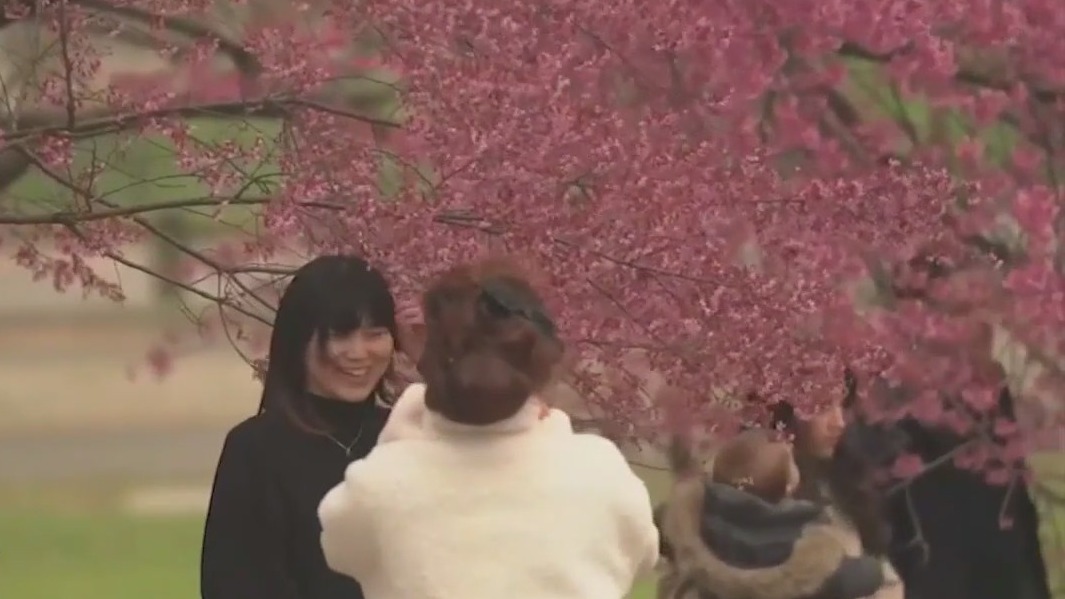 Allergy season wreaking havoc among unseasonably warm temps