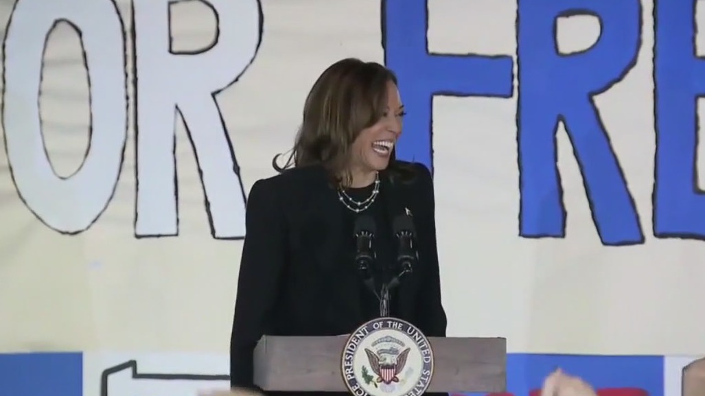 Harris, Trump make final push in swing states