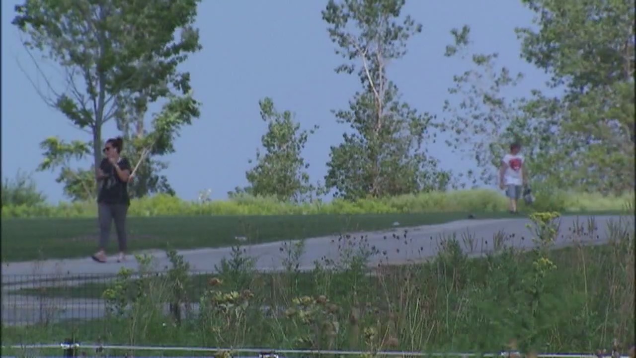 Chicago Park District workers vote to strike