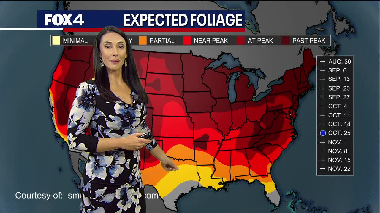 North Texas Fall Foliage Forecast 2022