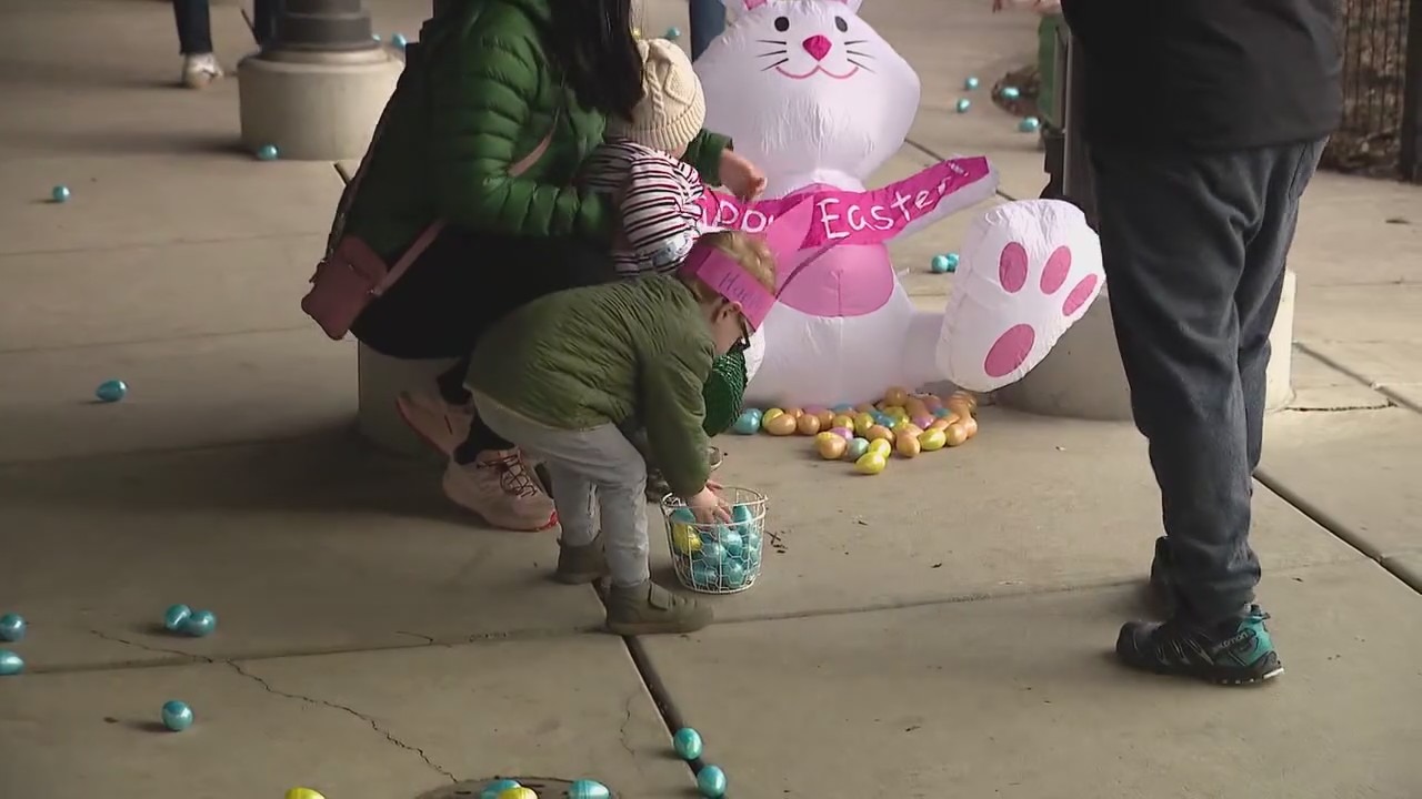 Chicago weekend events: Easter egg hunts, Margarita Fest, and Dog Day at Windy City Bulls game