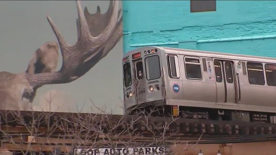 CTA adding more L service throughout spring, summer
