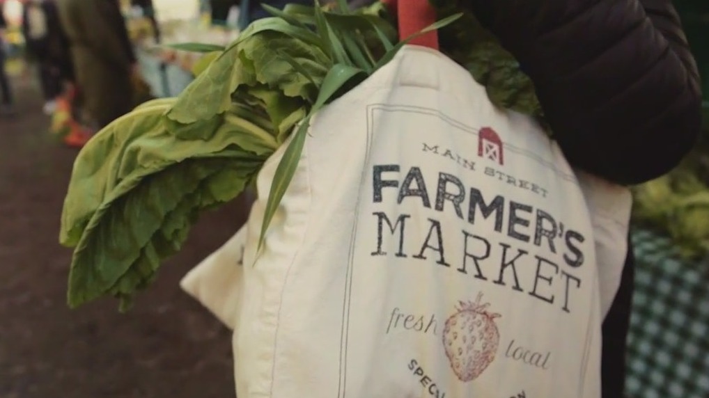 Weekend in Chicago: Green City Market in Lincoln Park opening early