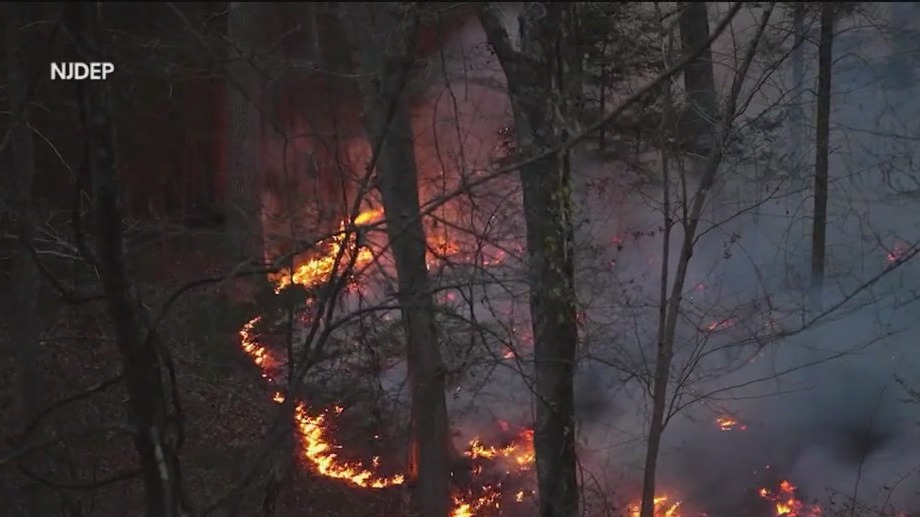 Efforts underway in NY, NJ to contain wildfires