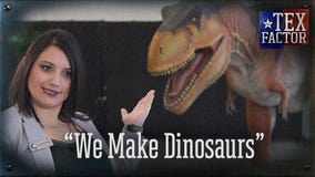 The Tex Factor: The Dinosaur Company