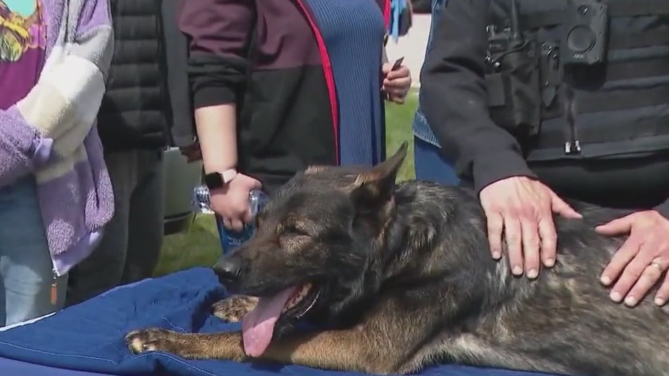 K9 Dax retires after 9 years at Lake County Sheriff?s Department: 'Your official request to retire is granted'