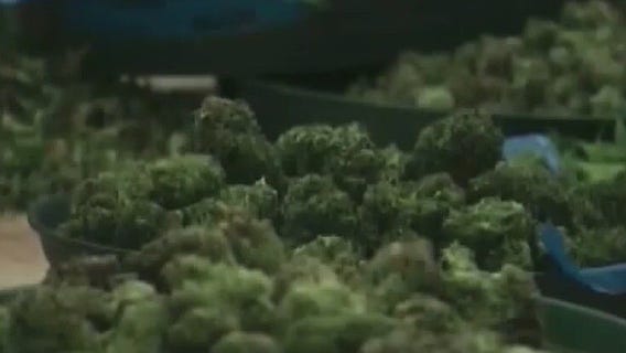 Texas: The Issue Is - Will Texas expand access to medical marijuana?