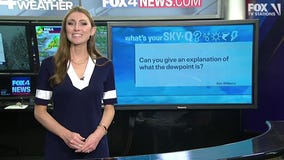 Sky Q: What is a dew point?