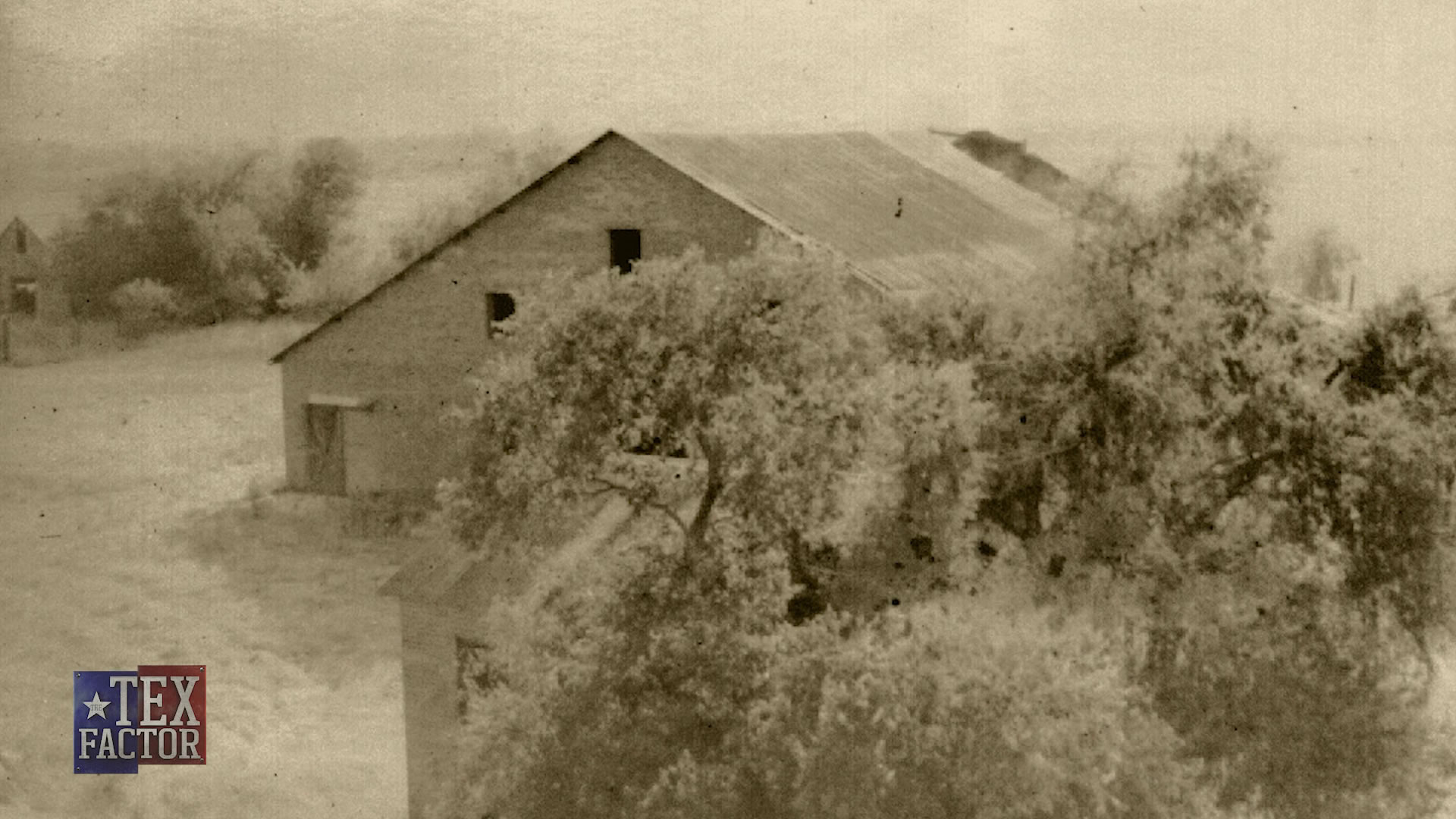 The Tex Factor: Reindeer Manor Halloween Park