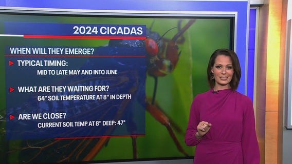 When will the cicadas emerge in Illinois?