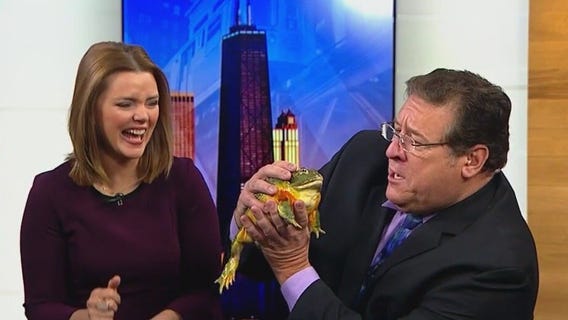 Reptile rendezvous takes place at North Riverside Park Mall