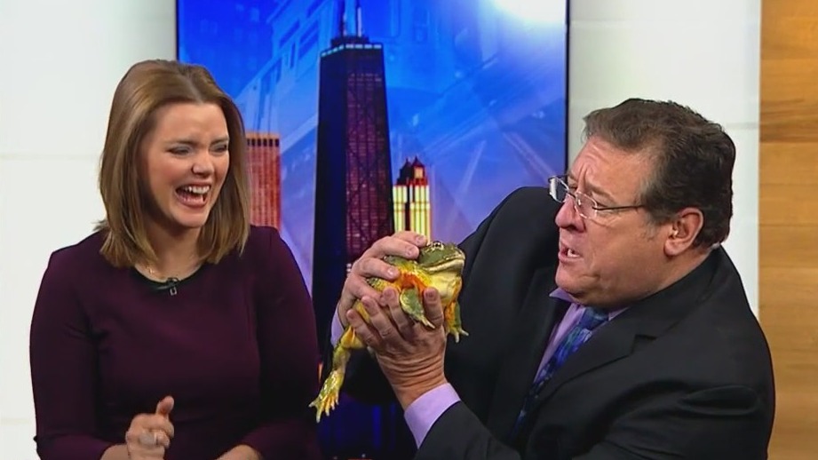 Reptile rendezvous takes place at North Riverside Park Mall