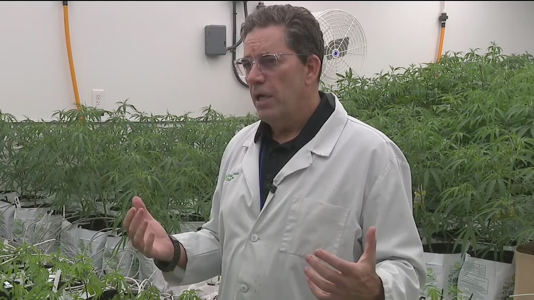 Texas: The Issue Is - Medical Marijuana