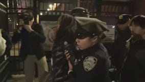 Over 130 Pro-Palestinian protesters arrested for disorderly conduct