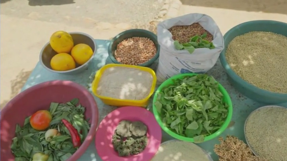 How to help the UN's World Food Programme