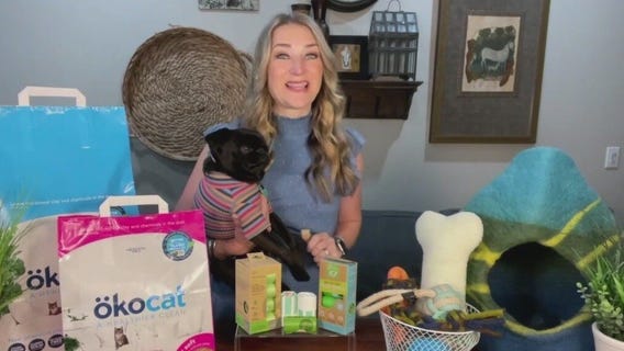 How to reduce your pet's carbon footprint