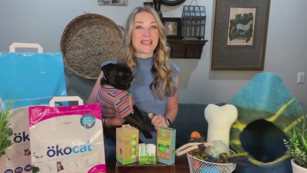 How to reduce your pet's carbon footprint