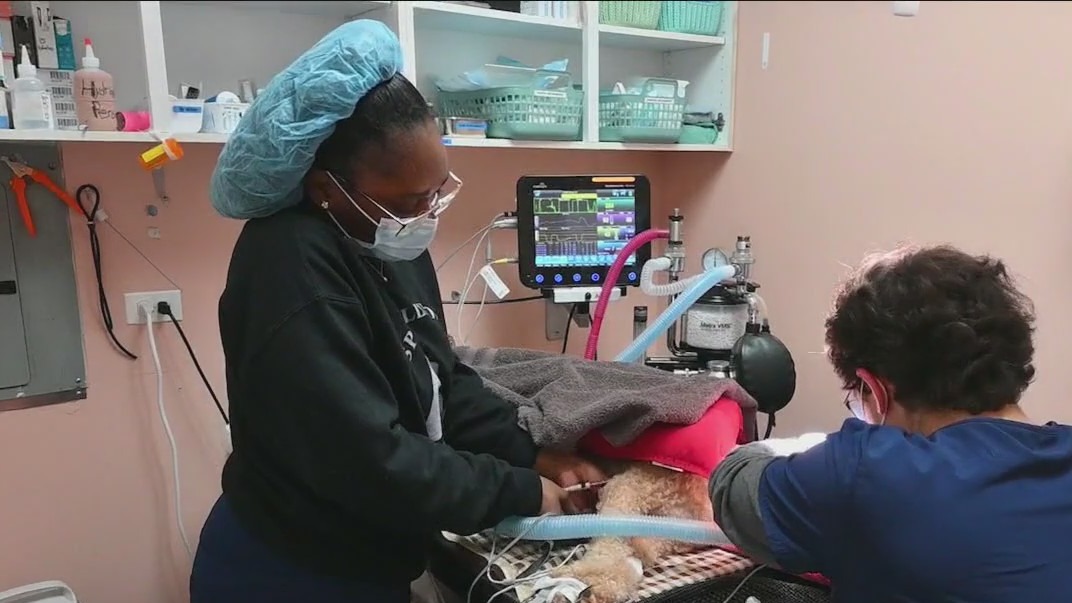 Giving DuPage Days benefits non-profits like Spay Illinois