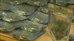 Across America: US to reclassify marijuana as less dangerous drug