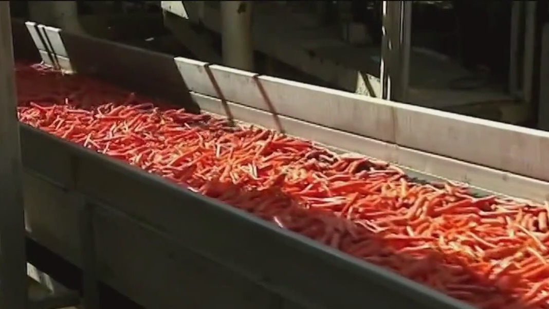 Food safety concerns grow following outbreaks