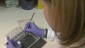 Calls for an investigation into COVID origins