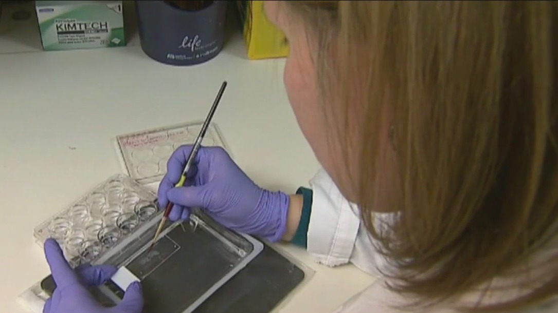 Calls for an investigation into COVID origins