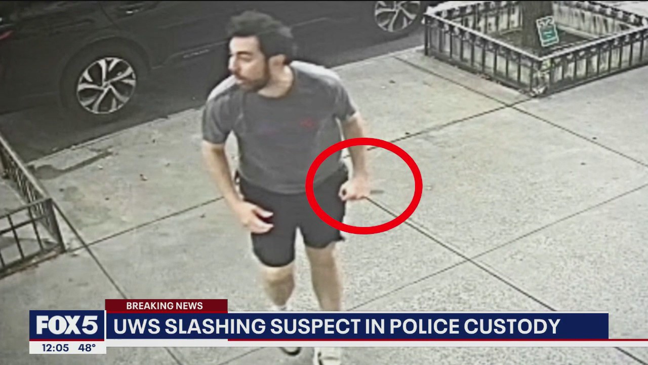 NYC slashing suspect in custody after apparent random attack on tourist
