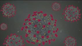 New COVID FLiRT variants spread across U.S.: Here's what you need to know