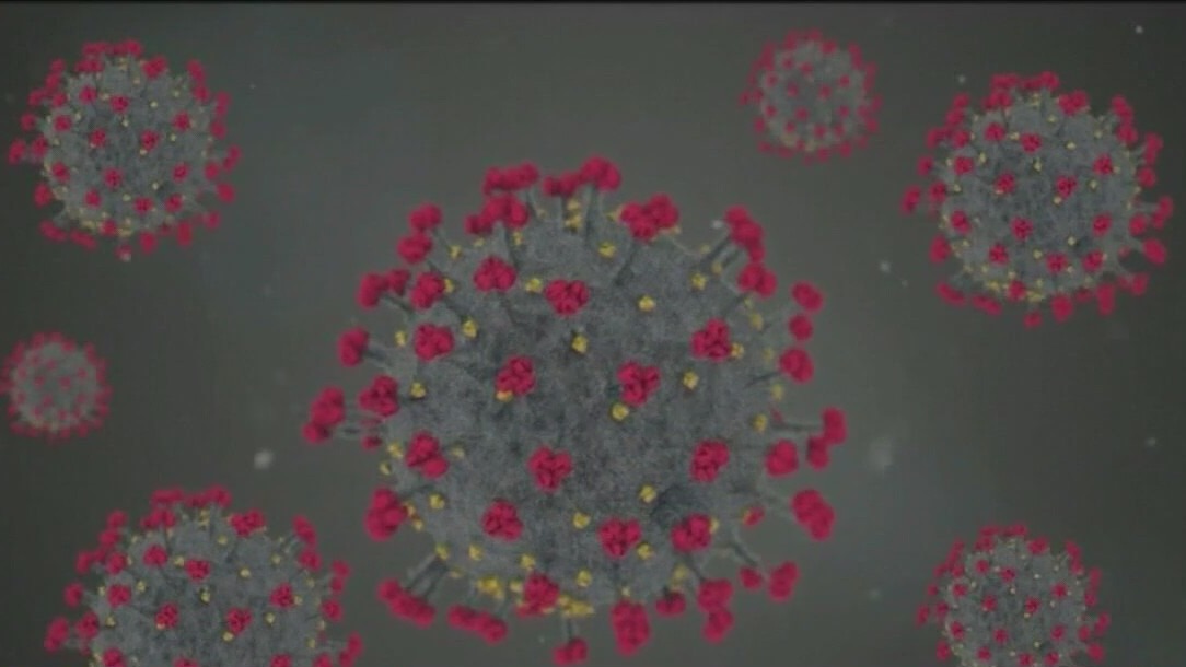 New COVID FLiRT variants spread across U.S.: Here's what you need to know