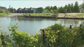 Do your part to beautify the Chicago River this weekend