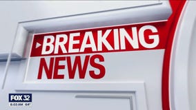 Man dies after being hit by car on Lake Shore Drive