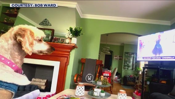 Delilah captivated by Roseanne Tellez and the A&A Ballet