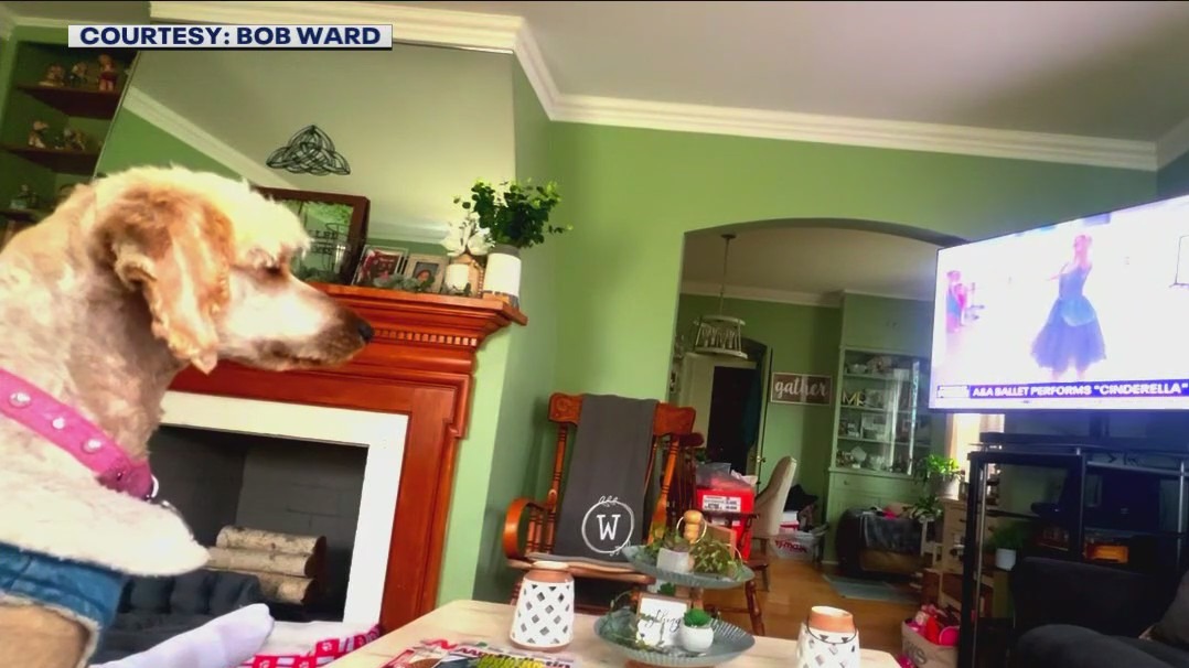 Delilah captivated by Roseanne Tellez and the A&A Ballet