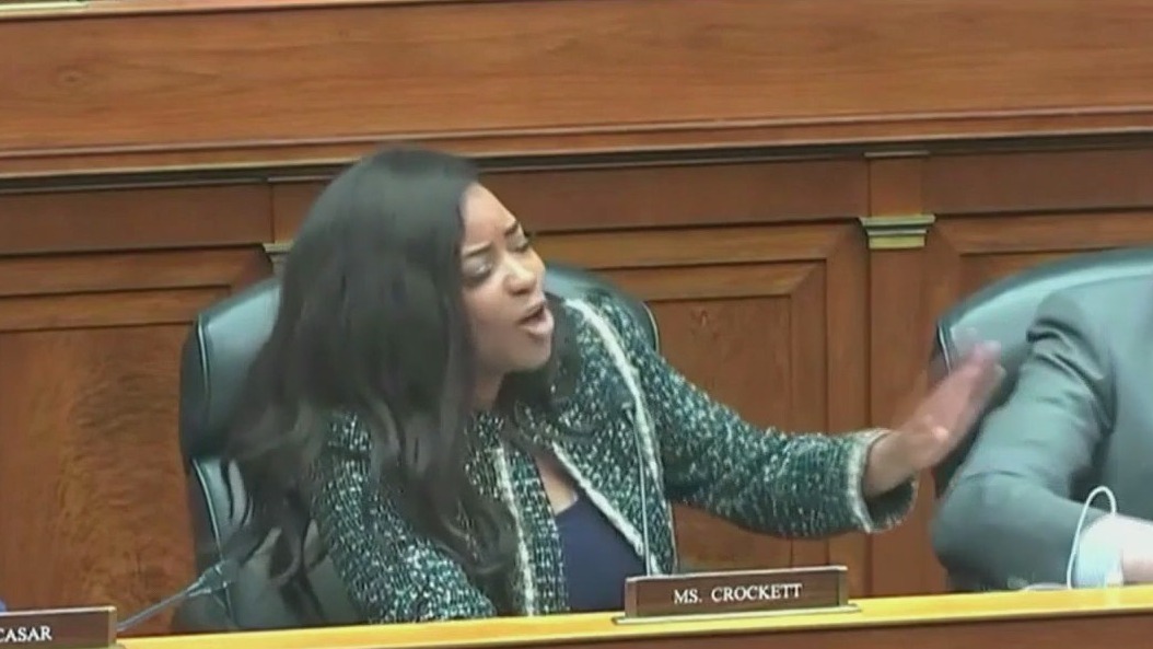 Committee hearing on Capitol Hill turns to chaos