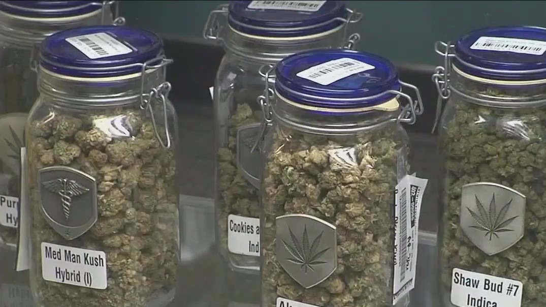 'Monumental': Biden looks to right the wrongs associated with marijuana