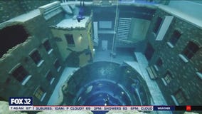 Diveheart's deep pool taps into transformative disability treatments