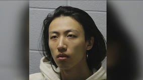 Glenview deadly crash suspect makes first court appearance