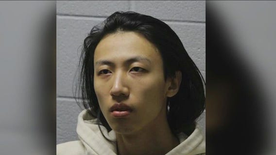 Glenview deadly crash suspect makes first court appearance