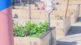 Seeds of Fire family event brings community together at Winthrop Gardens