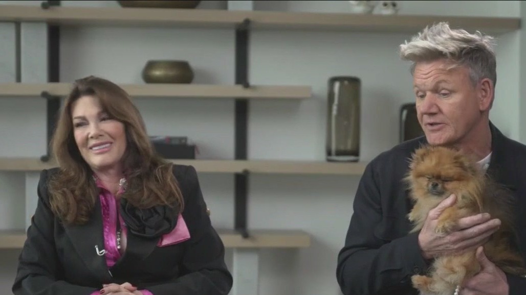 Gordon Ramsay, Lisa Vanderpump compete in 'Food Stars'