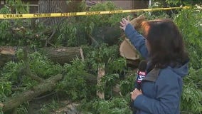Cleanup begins in Beverly after severe weather plows through Chicago area
