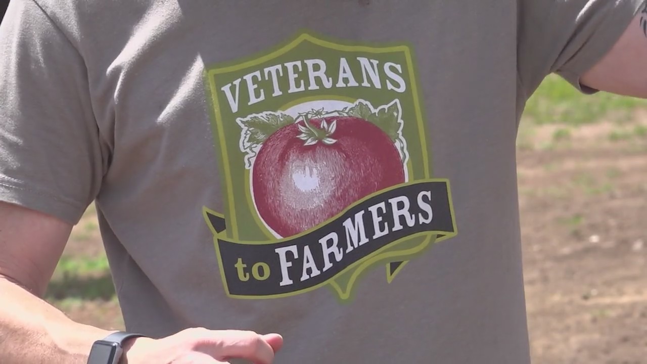 Program helps veterans transition from military service to farming careers