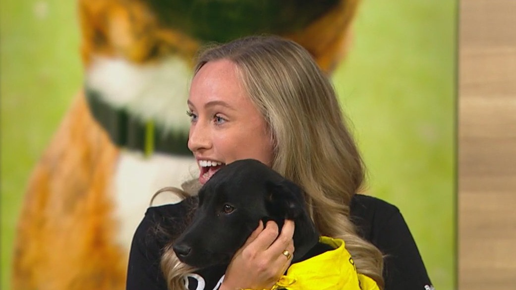 PAWS Pets of the Week is back