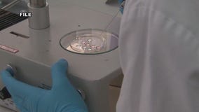 Duckworth introduces bill to protect, expand access to IVF treatments