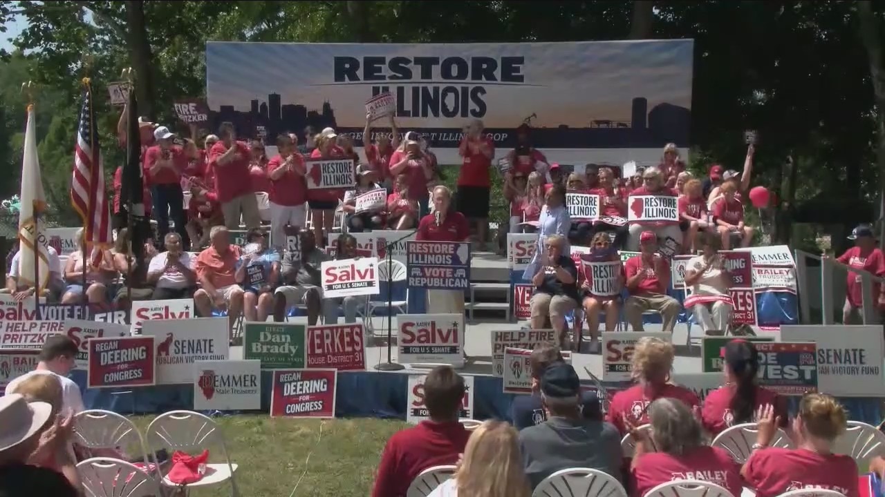 'Game of subtraction': Illinois GOP reeling after chairman's resignation