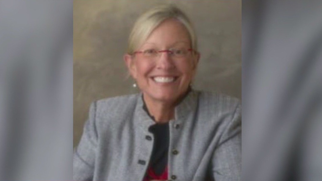 Ann Lurie, namesake of Chicago children's hospital, dies