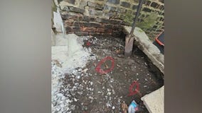 Bones found in Chicago are not human